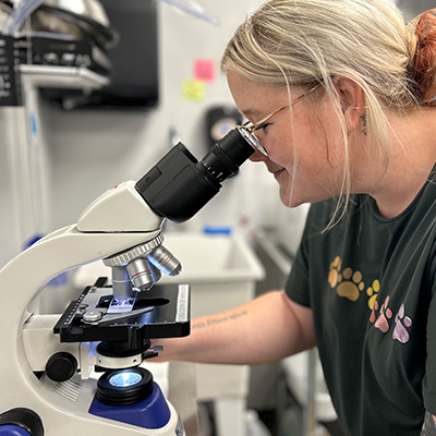 Staff member looking into a microscope